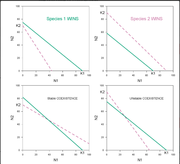 <p>Competition can lead to one of four outcomes Competitive outcome is dependent on K and alpha</p><p>Competitive outcome is not usually dependent on r (<strong>except for unstable coexistence</strong>)</p>