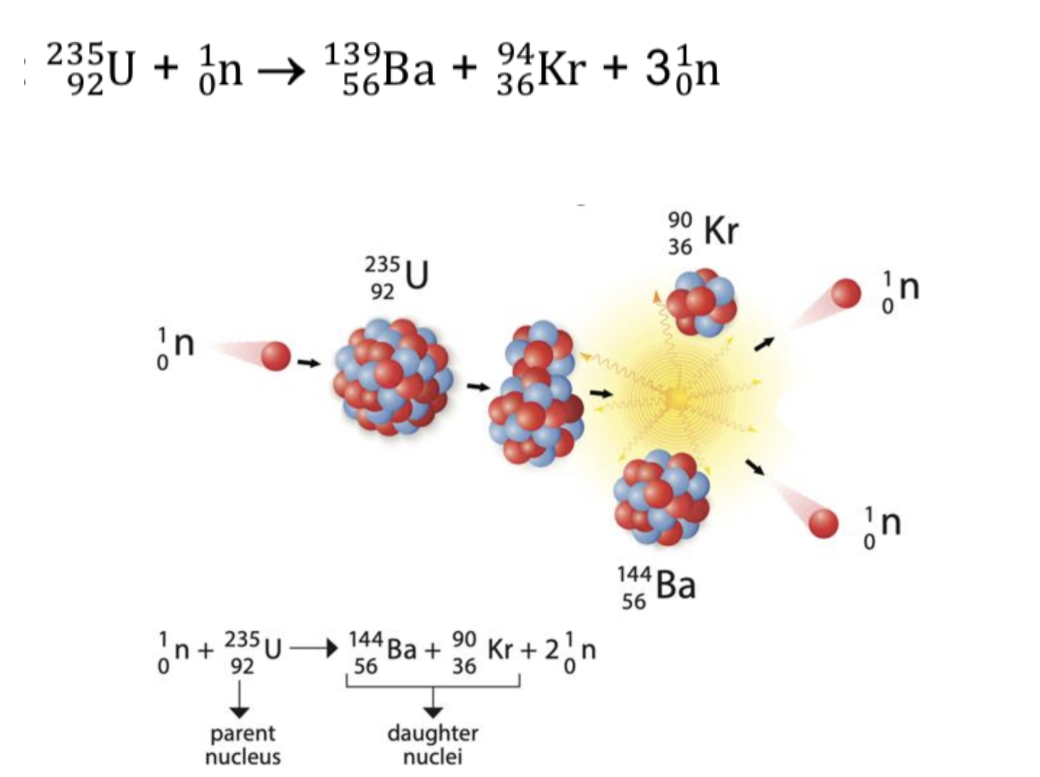 <ol><li><p>Parent nucleus decays to form daughter nuclei which may decay or be stable</p></li><li><p>Neutrons produced will go on to split more nuclei in a self-sustaining chain reaction controlled in a nuclear reactor</p></li></ol><p></p>