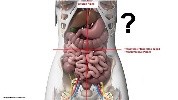 <p>Which quadrant is this?</p>