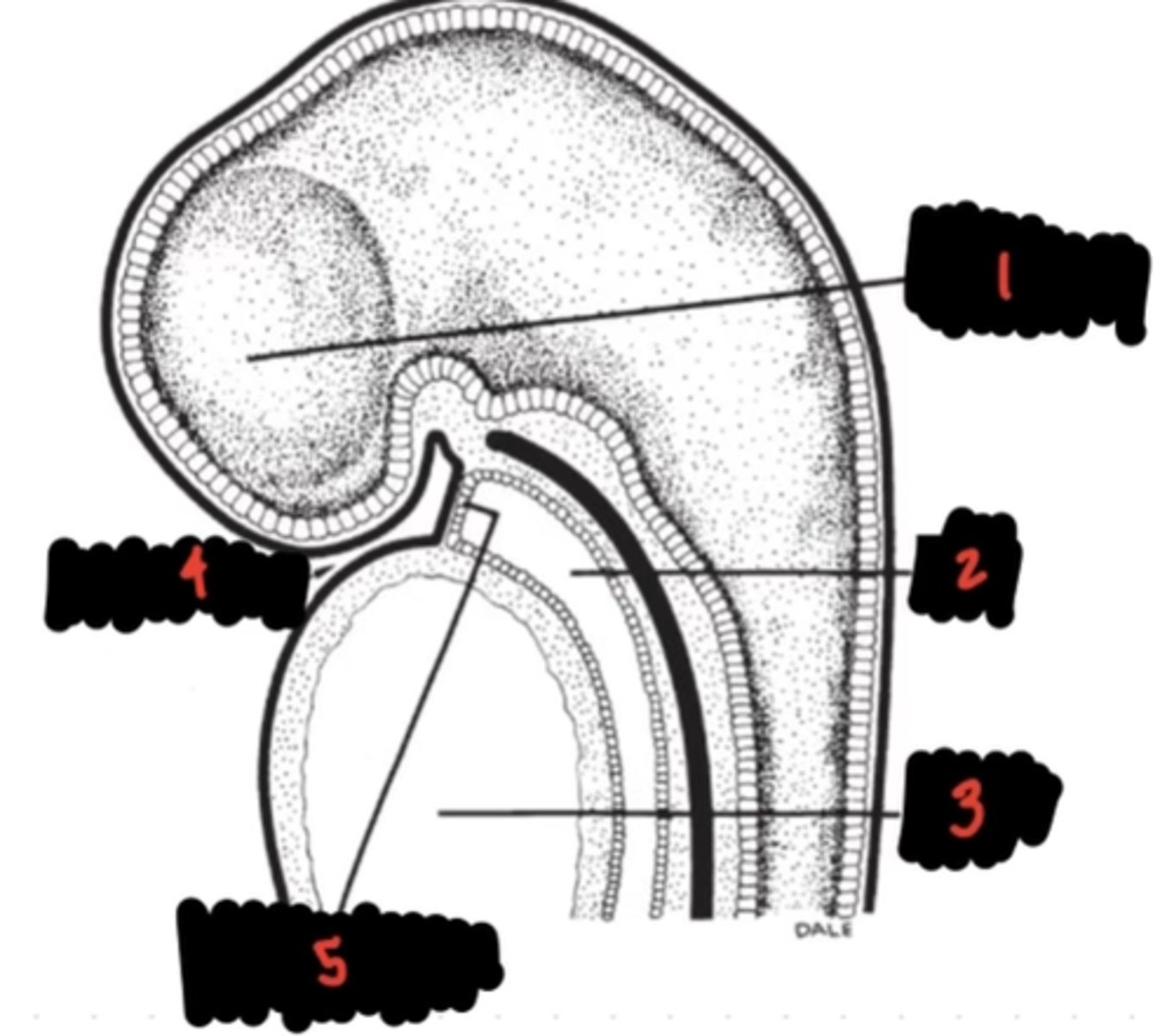 <p>5</p>