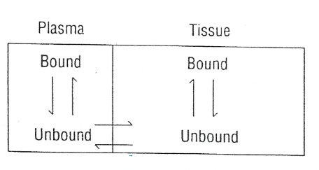 <p>The fraction of drug in body located in plasma is ____ on the drug’s binding to both ____ and ____ components.</p><p></p>
