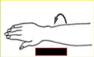 <p>What Movement is occurring?</p>