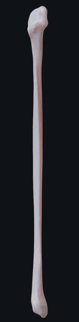 <p>What is this? Left or right?</p>