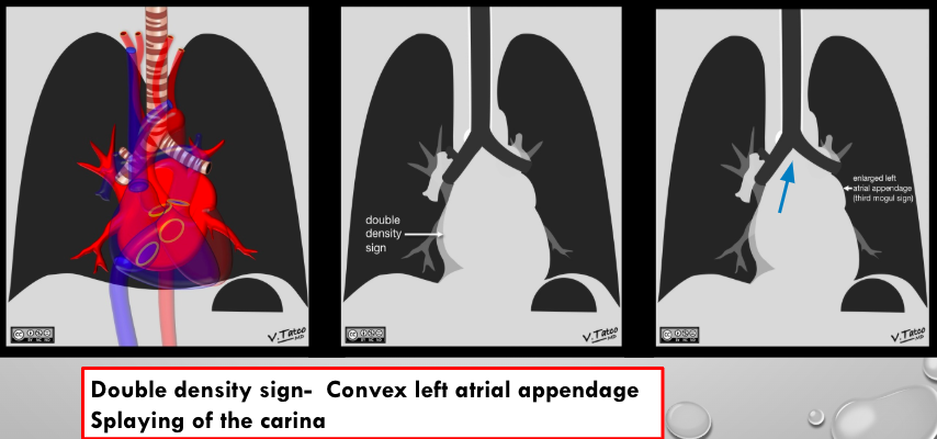 <p>what is this?</p>