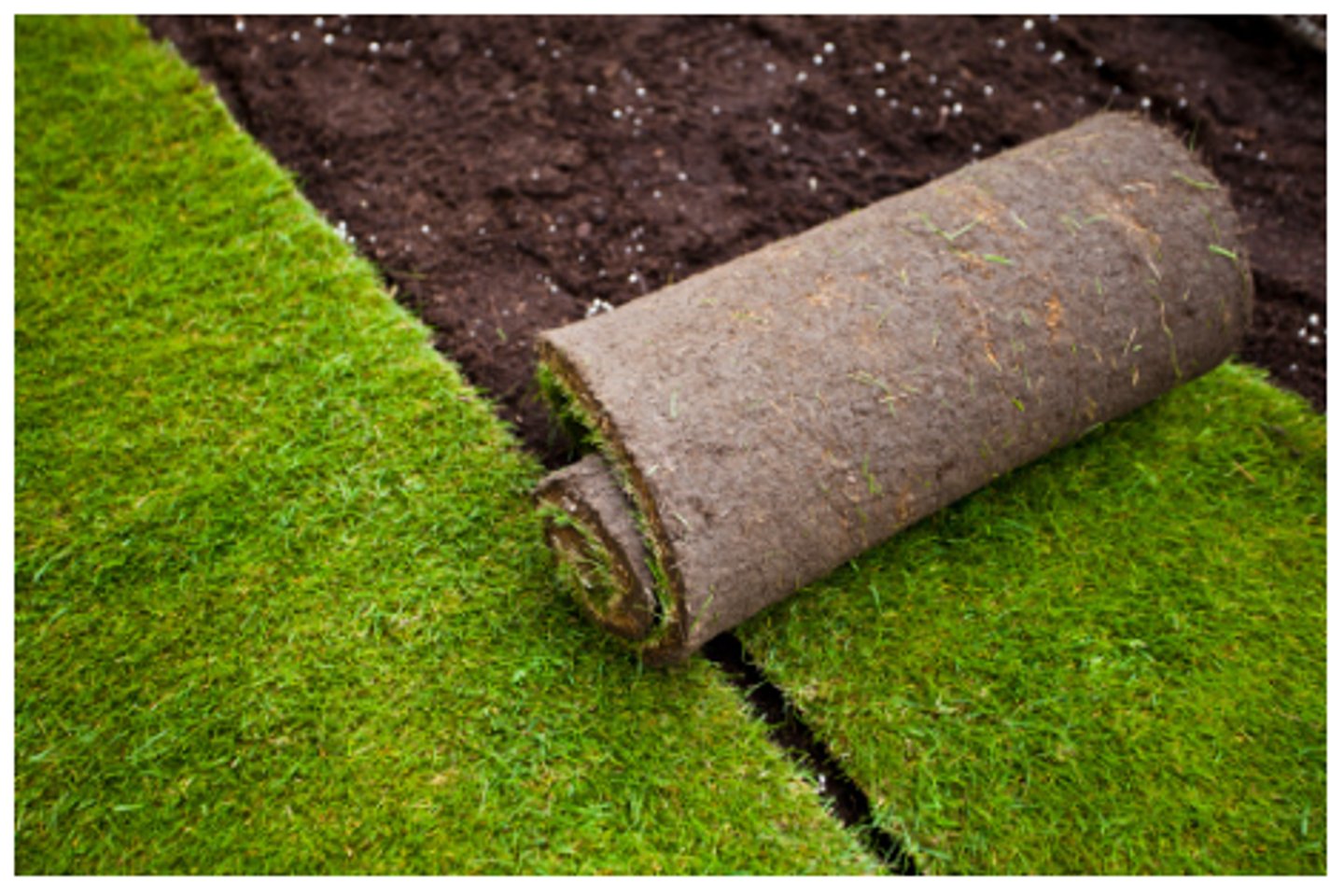 <p>cán, cuộn (The metal is rolled into thin sheets.)</p>