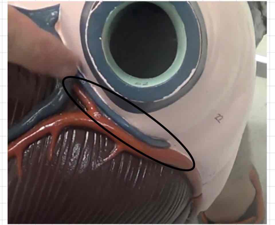 <p>what is this? (giant heart model)</p>