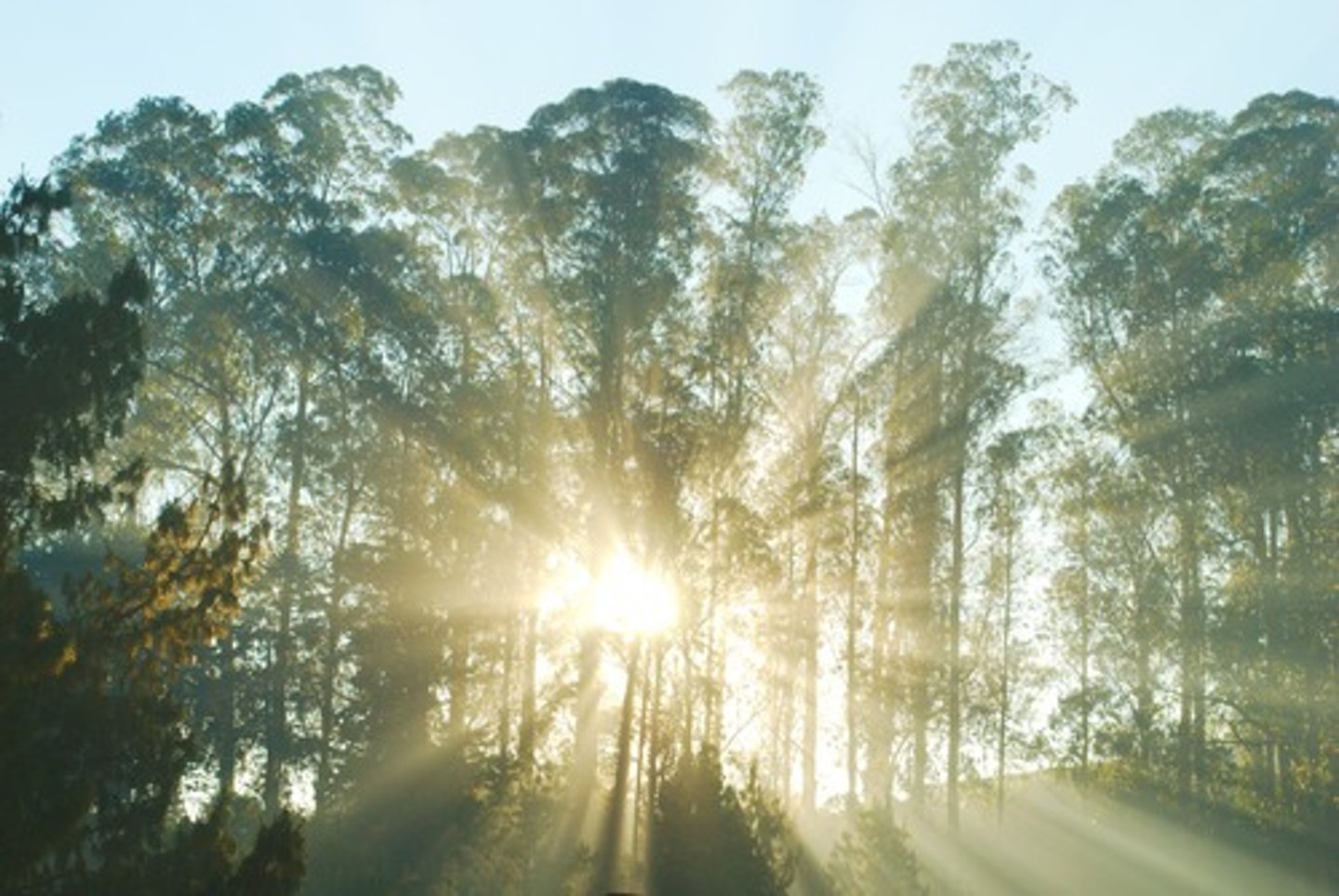 <p>morning</p>