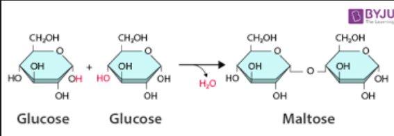 <p>is a chemical reaction that join two monomers to make a polymer by removing water (H2O).</p><p>The H and OH from the two monomers combine to form water, and the reaming parts of the monomers bond together. This is how cell build carbohydrates, proteins, and nucleic acids (macromolecules) from their smaller building blocks.</p>