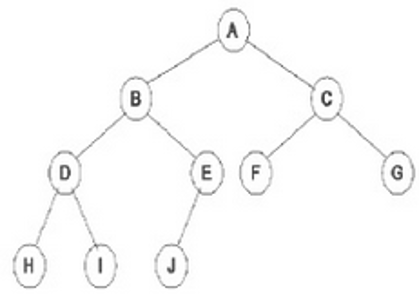 <p>a type of list where each node has up to two children (left and right child)</p>