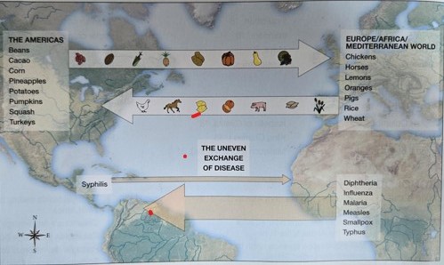 <p>Which of the following was an economic effect on American Indian peoples as a result of the Columbian Exchange?</p>