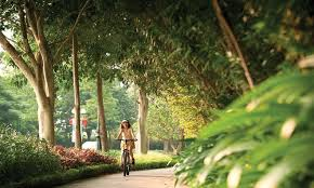 <p>Many people prefer the _____ lifestyle due to its <strong><em>proximity</em></strong><em> to nature</em> and l<strong>ower crime rates.</strong></p><p class="style_collocation__trans__nAf6q"><em>Nhiều người ưa thích lối sống ngoại ô vì sự gần gũi với thiên nhiên và tỷ lệ tội phạm thấp.</em></p>