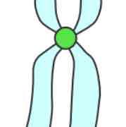 <p>What structure is this?</p>