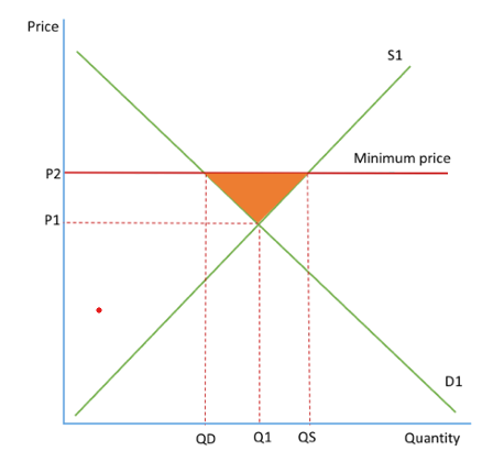 <ul><li><p>must be set above current price equilibrium</p></li><li><p>a legally imposed price at which the price of the good cannot go below</p></li><li><p>set on goods with negative externalities, the price is raised to the social optimum point and consumption is discouraged</p></li><li><p>encourage producers to produce goods so can be set on goods with social benefits that are underprovided by the market</p></li></ul><p></p>