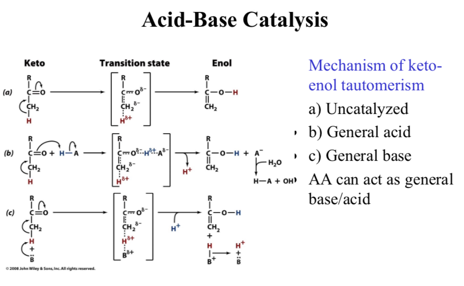 <p>Acid-Base Catalysis</p>