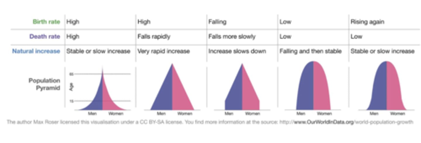 <p>Shift from high birth and death rates found in developing countries to much lower birth and death rates found in developed countries.</p>