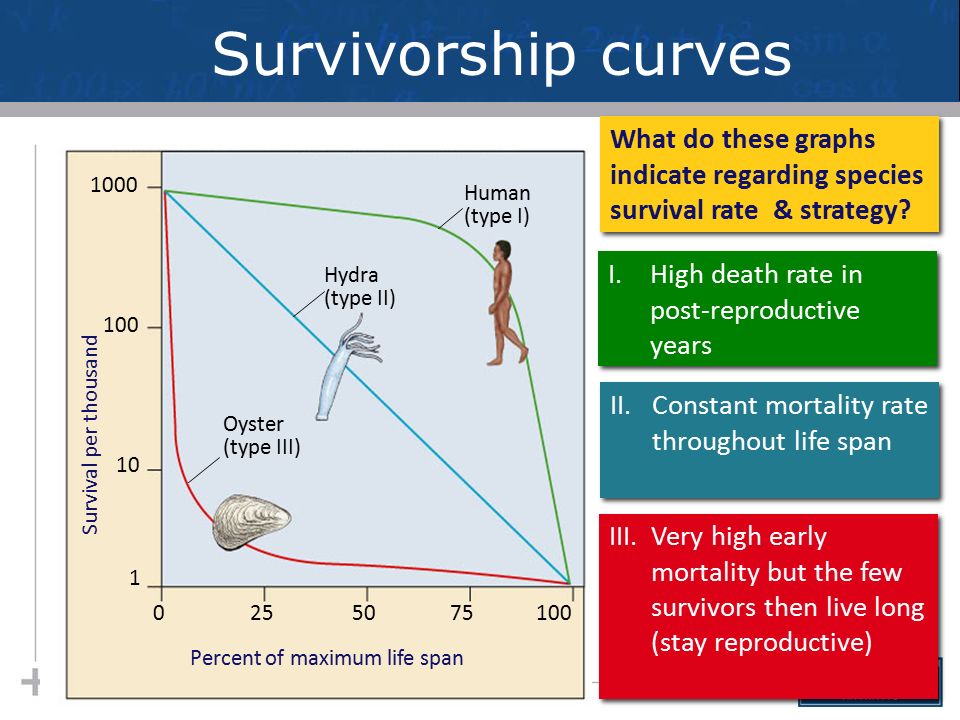 <ul><li><p>Type I: higher death at older age (humans)</p></li><li><p>Type II: equal rates of death at all ages (birds)</p></li><li><p>Type III: highest death rate at young ages (toads)</p></li></ul><p></p>