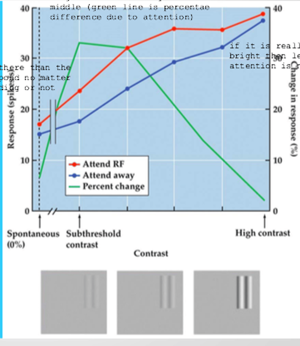 <p>small response</p><p>small change</p><p>ie if the stimulus is so small that it is hardly there (ie too dim) then the neuron wont respond if it is attending or not.</p>