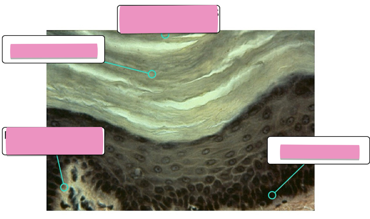 <p></p>