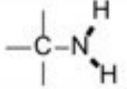 <p>Nsp3—H (Amine)</p>
