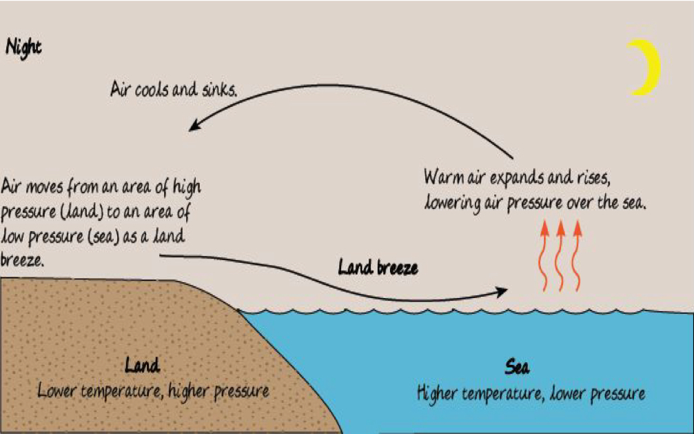 <p>A land breeze is wind that blows from the land to the sea. At night, the sea loses heat slower than the land. The warm air over the sea rises. As a result, the air pressure over the sea is lower than the land. The area over the land is a high pressure area. Therefore, wind blows from the land to the sea at night to form a land breeze, because air moves from an area of high pressure to an area of low pressure.</p>