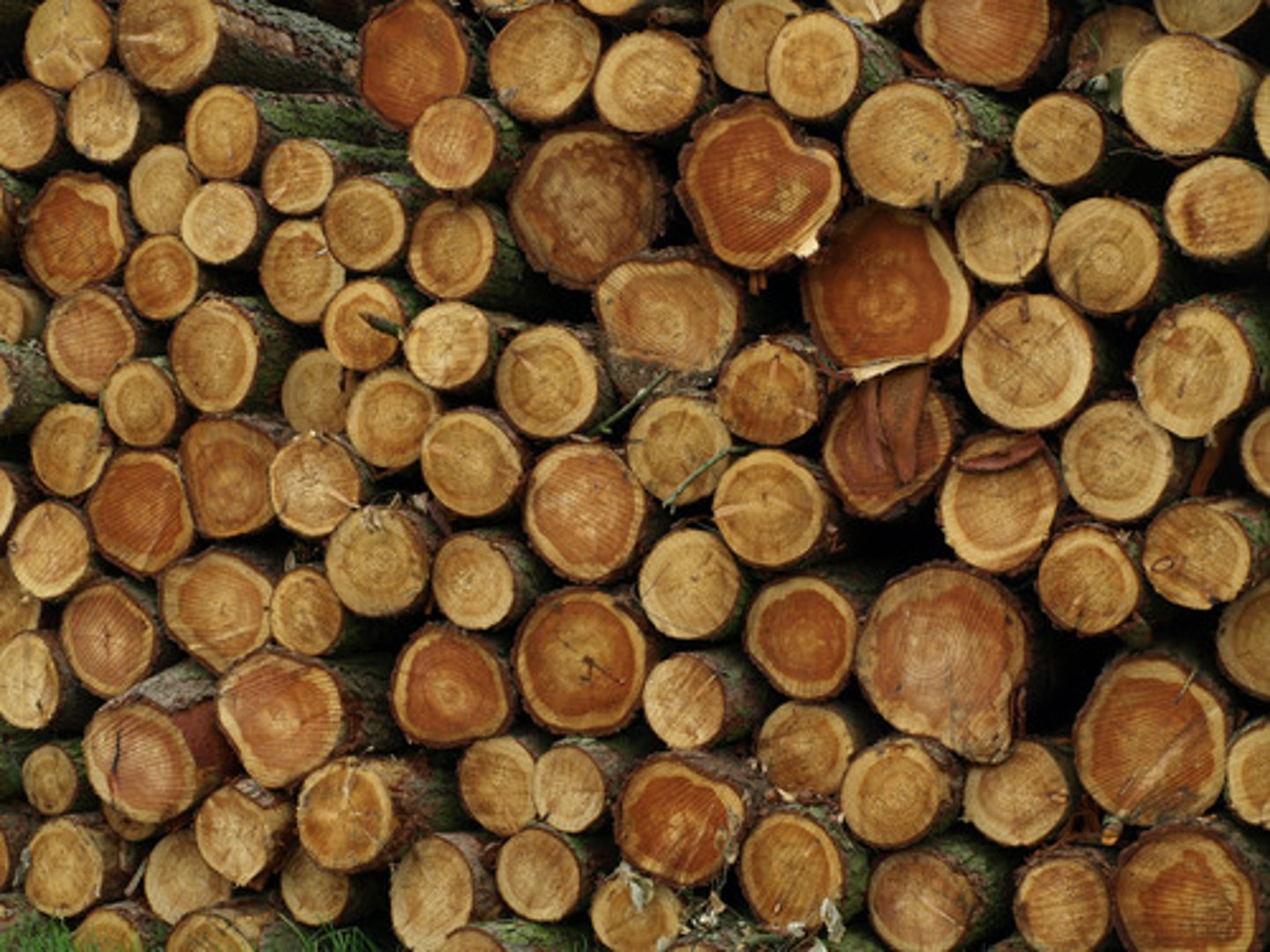 <p>дрова</p>