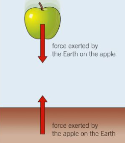 An example of an interaction pair