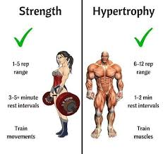 <p>increase in <strong>size </strong>of cells </p>