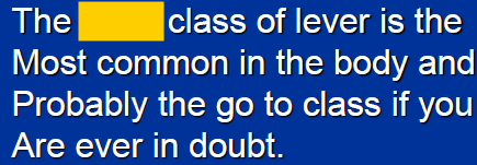 <p>Fill in the Blank</p>