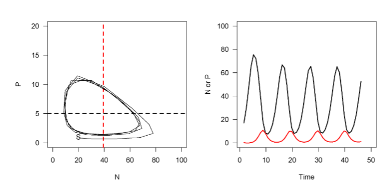 <p>Oscillating coexistence</p>