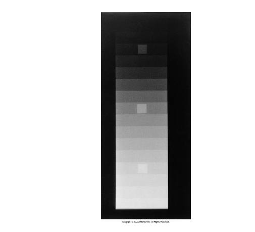 <p>Is this high or low contrast</p>