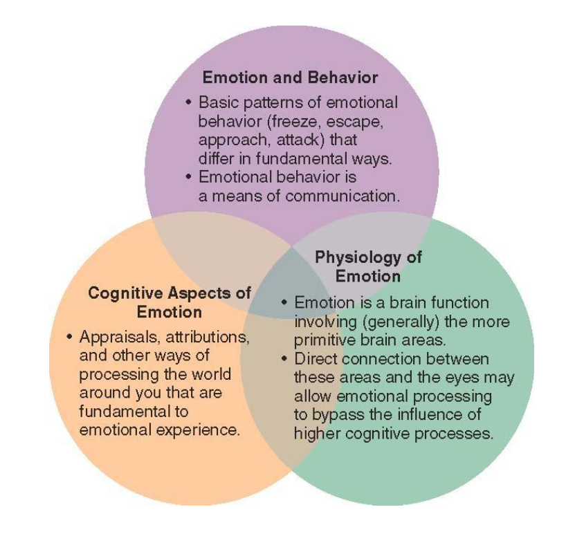 <p>Some emotions can affect us both mentally and physically</p><p>Components of emotion</p><ul><li><p>cognition</p></li><li><p>physiology</p></li><li><p>behavior</p></li></ul>
