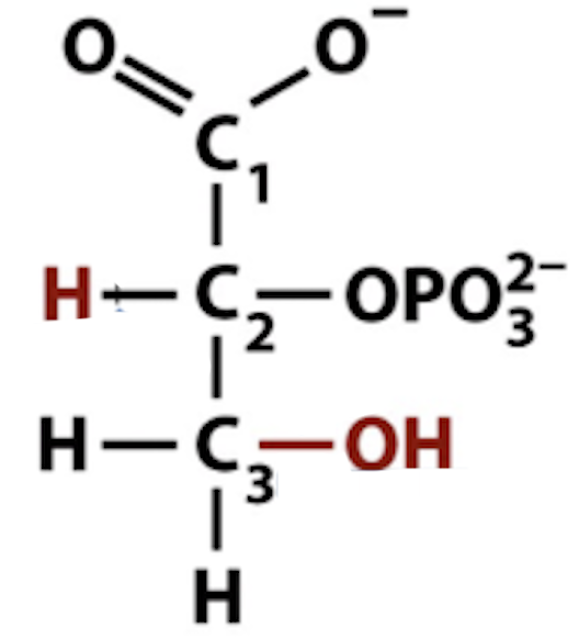 <p>Name that structure.</p>