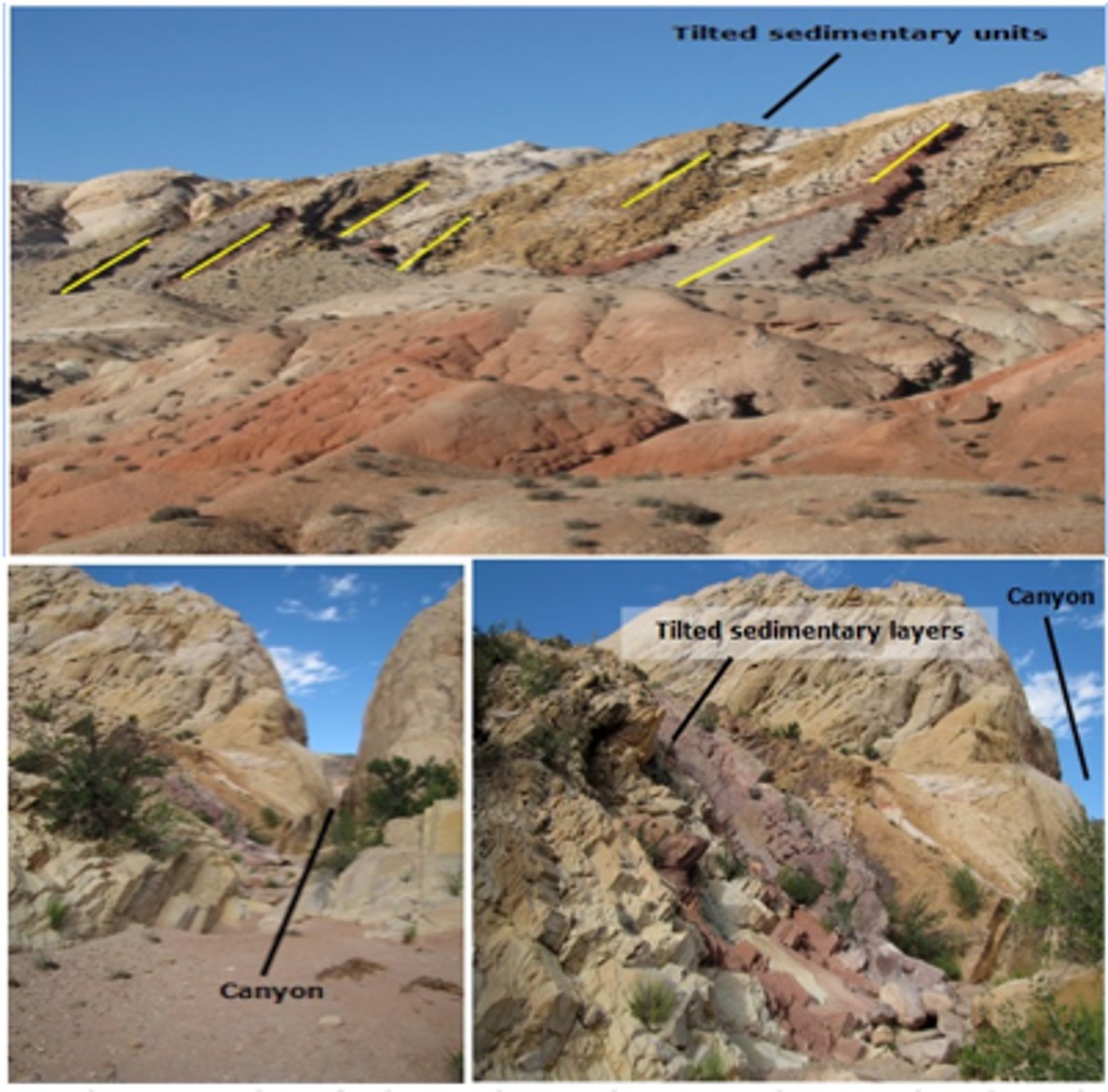 <p>The "Principle of Cross Cutting Relationships" can be used to determine the relative ages of the sedimentary rocks versus canyon formation.</p><p>The sedimentary beds were initially deposited in a(n) "horizontal" orientation.</p><p>The process of stream "incision" is younger compared to the folding of the rock units.</p><p>The "Principle of Original Horizontality" says that folded sedimentary beds have been disturbed since deposition.</p><p>The sedimentary layers are "older" than both folding and stream incision.</p>