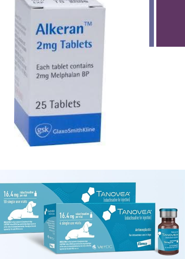 <p><strong>chemotherapy →&nbsp;</strong><span>effective at reducing myeloma cell burden and relieving bone pain</span></p>