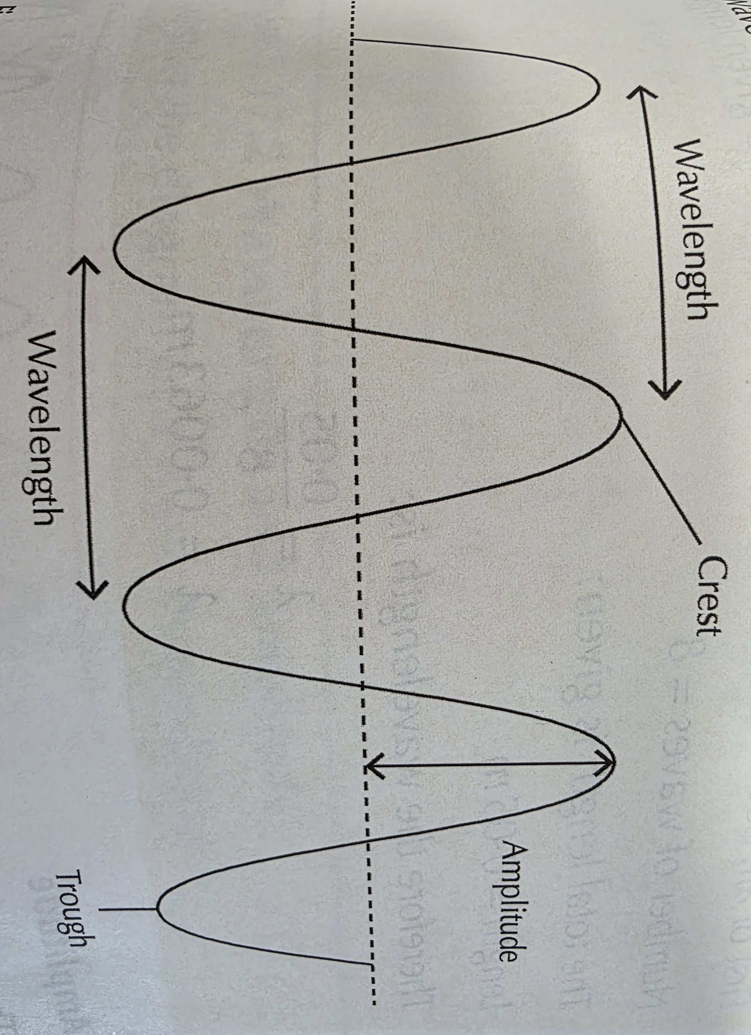 <p>Wavelength, amplitude, frequency, period, wavespeed</p>