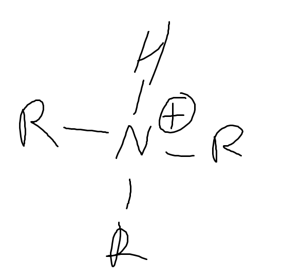 <p>What is the pka of <br>(protonated amine)</p>