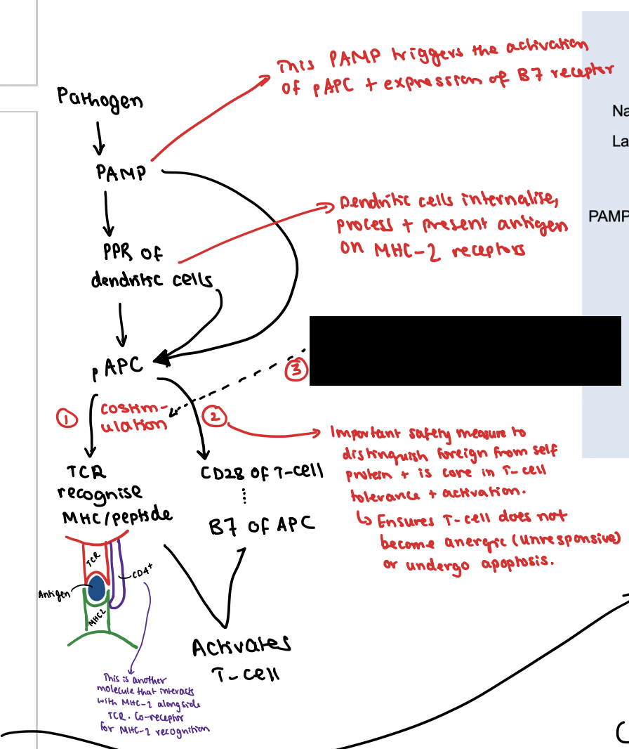 <p>What is the third signal?</p>