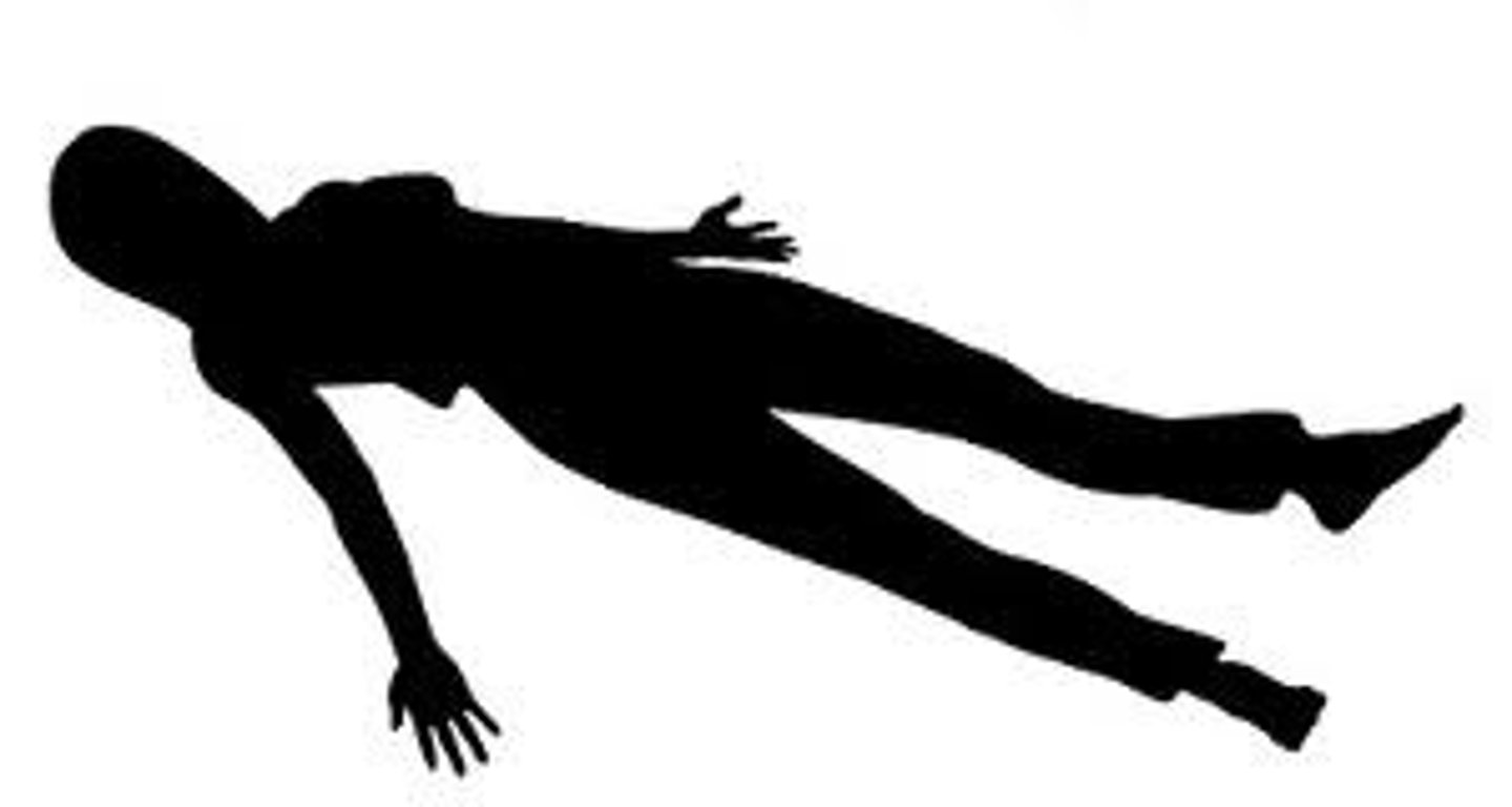<p>dead body</p>