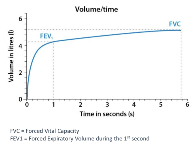 <p>Shows how quickly a person exhales </p><p>Relates volume expired with time taken for inspiration</p>