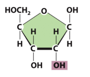 <p>which sugar ??? ಠಿ_ಠ</p>