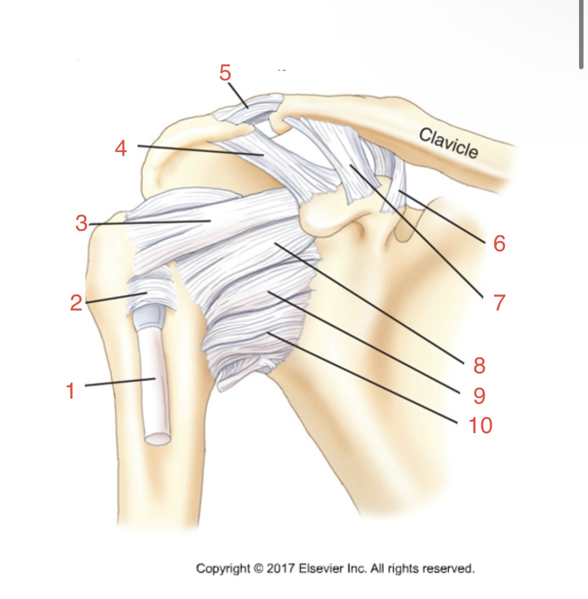 <p>4</p>