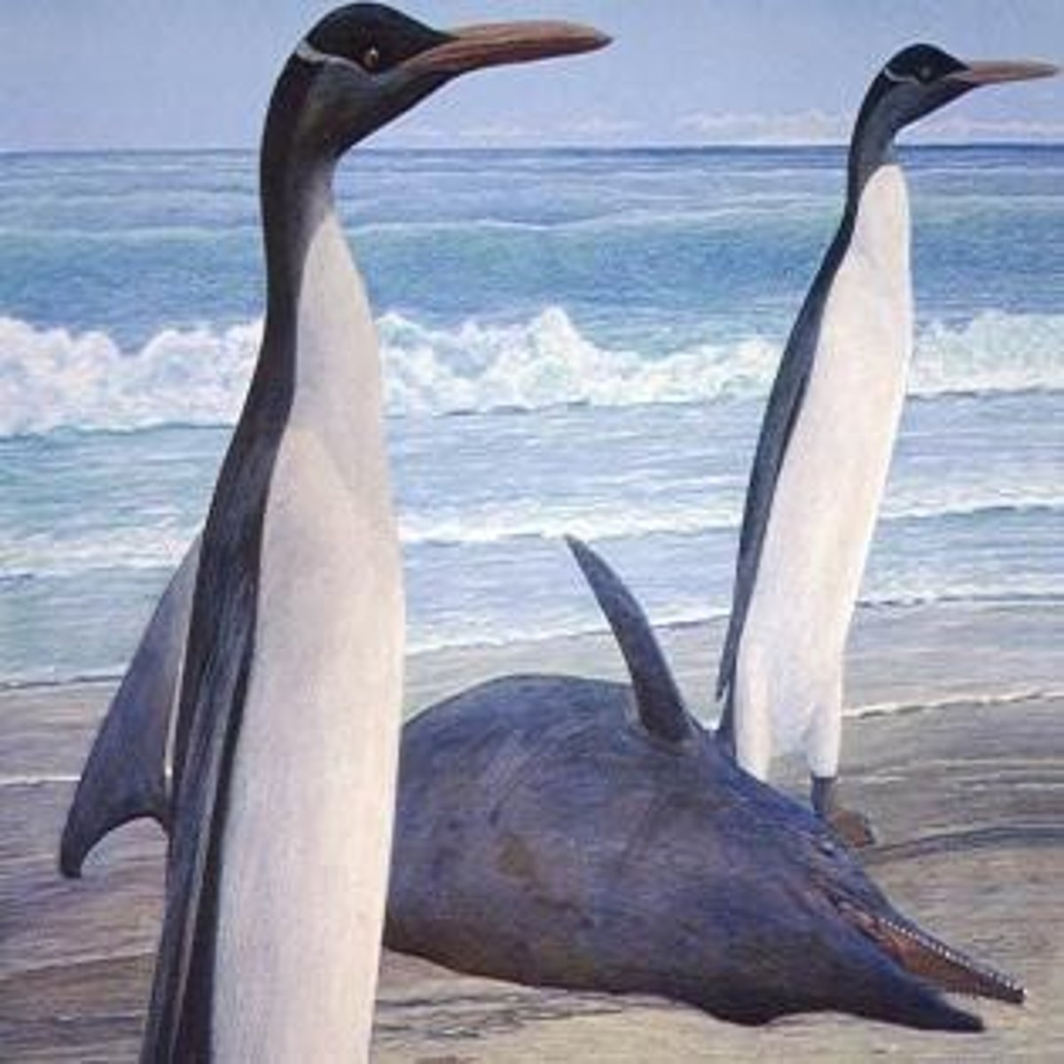 <p>Pakicetus.</p>