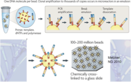 <p>One DNA molecule per bead then amplify in microreactors in emulsion then crosslink to glass side</p>