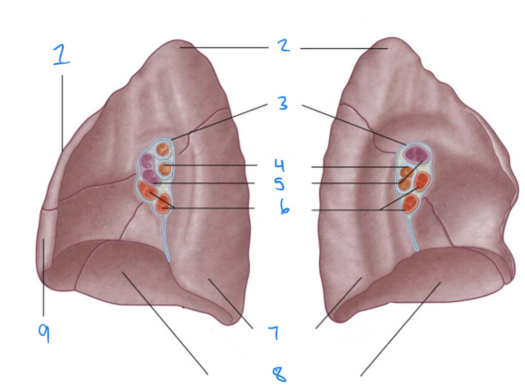 <p>1-5</p>