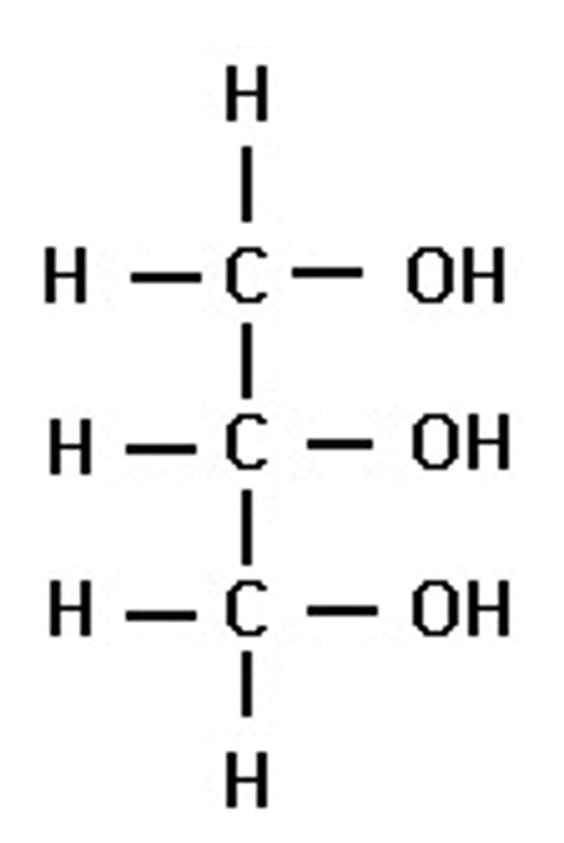 <p>covalently bonds to fatty acids to make lipids</p>