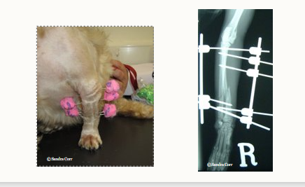 <ul><li><p>complex fractures</p></li><li><p>used where there is high risk</p></li></ul><p></p>