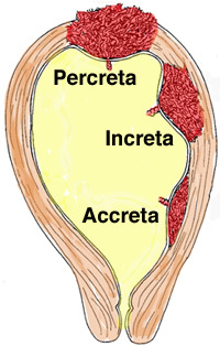 <p>placenta invades through the myometrium into the uterine serosa</p>