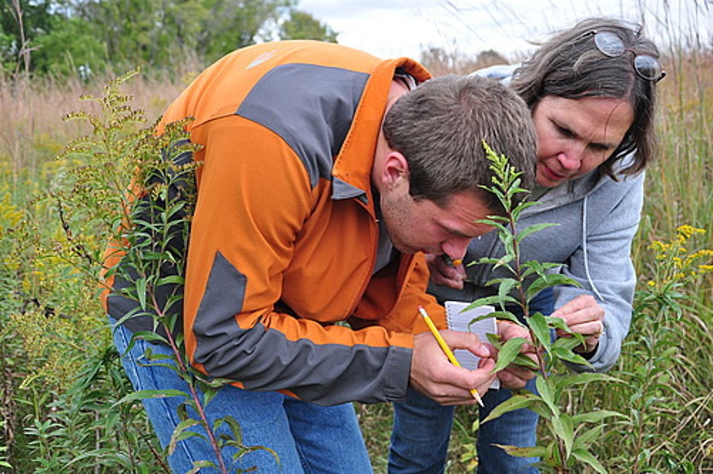 <p>A person who studeis plants and animals by observing them</p>