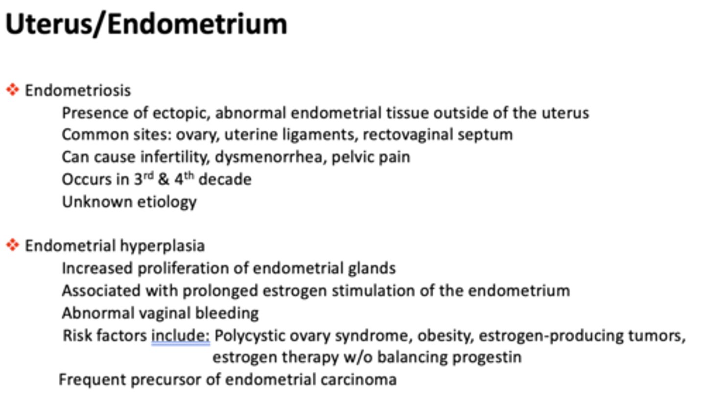 <p>endometrial hyperplasia</p>
