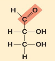 <p>aldotriose</p>